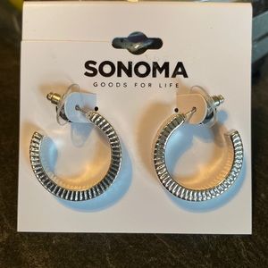 🆕 SONOMA Thick Silver Hoop Earrings